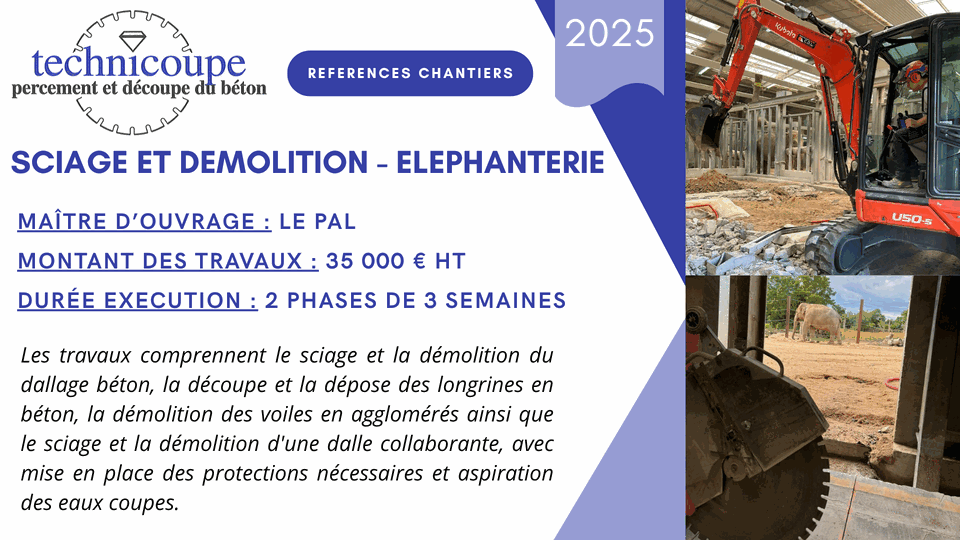 Sciage et démolition à l'éléphanterie du parc Le Pal